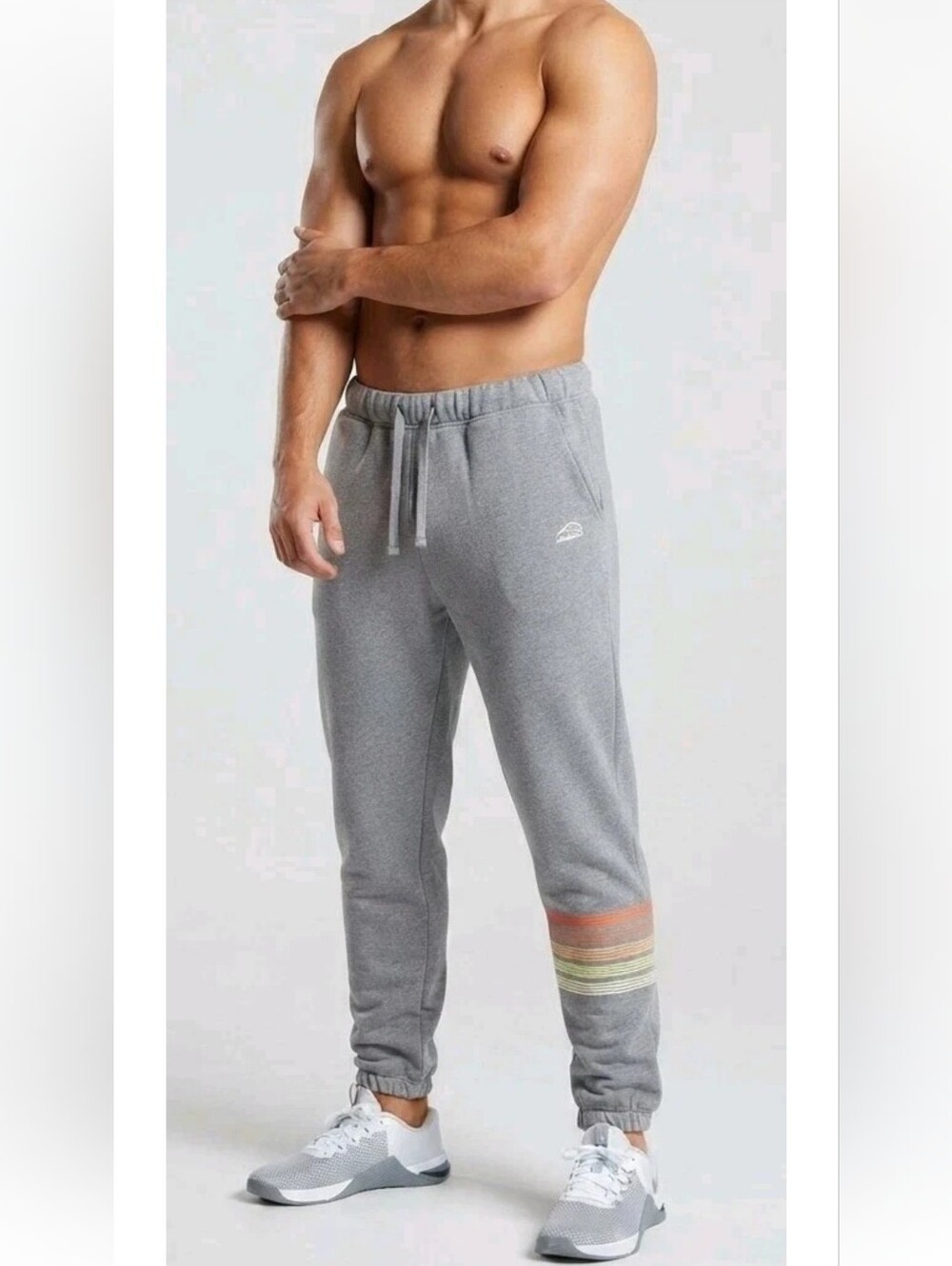 Patagonia Men's Line Logo Ridge Stripe Uprisal Sweatpants Joggers! L
